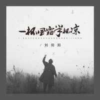 一杯风霜半杯凉 - 刘阳阳