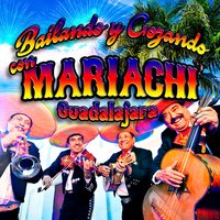 Hay Cosita Linda - Mariachi Guadalajara