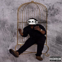 Color Carpet - Cool Rebel