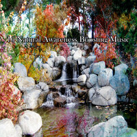 Harmony In Mother Nature - Animal and Bird Songs