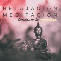 Música de Paz - Relax 4 Relax