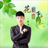 花蝴蝶飞 - 龙飞