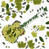 Green Countryside - Peter Michael