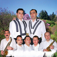 Astăzi Cânt La Voi La Nuntă - Simi Deac