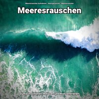 Unsere Küstenszene - Meeresrauschen Aufnahmen & Naturgeräusche & Meeresrauschen