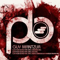 In Your World - Guy Mantzur & Zino