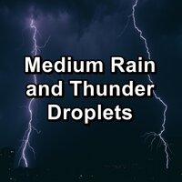 Moderate Rain and Thunder in the Rainy Forest To Relax and Loop for 8 Hours - Sleep Sounds Of Nature & Nature and Rain & Nature Sounds – Sons de la nature