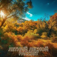 Летний лесной рассвет - Музыка для снятия стресса & звуки рассвета