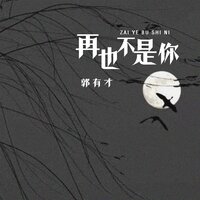 再也不是你 - 郭有才 & 何友
