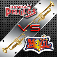 Adios, Adios Amor - Banda Pelillos