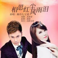 相思红尘风雨泪 - 佩丹儿 & 王觉