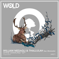 Sogno Di Una Notte Di Mezza Estate - William Medagli & Thallulah