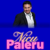 Bem,bem,bem - Nicu Paleru