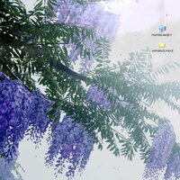 FIGHTING ANXIETY WITH BRUTE FORCE - shut_up_pls.