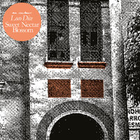 Sweet Nectar Blossom - Loco Dice