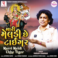 Marri Meldi Chhe Tiger - Vikram Chauhan