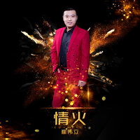 情火 - 崔伟立 & 何鹏