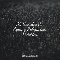 Amor En El Crepúsculo - Meditación Maestro & Cancion de Cuna & Ambiente