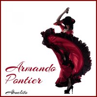 Nunca Es Tarde - Armando Pontier