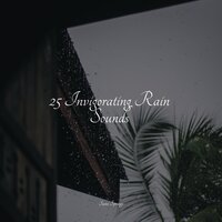 Rain, Vegetation, Wood, Heavy Wind - Spa Zen & Música de la Naturaleza & Sounds Of Nature : Thunderstorm, Rain