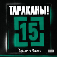 В мире животных - Тараканы!