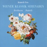 Beethoven: Sérénade, Op. 8, arrangée pour Guitarre, Flûte et Alto par Wenzel Matiegka: Marcia - Sigi Schwab & Diabelli Trio & Ludwig van Beethoven