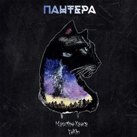 Пантера - Маэстро Хаоса, ToXiN & Toxin & Маэстро Хаоса