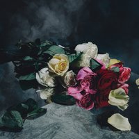 Proxima - Lower Spectrum