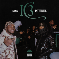 Hussleholic Interlude - Shadz