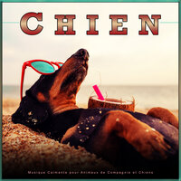 Musique piano pour chien relaxante - Musique Calmante Pour Chiens & Musique D'Endormissement Pour Chiens & Musique pour Chiens