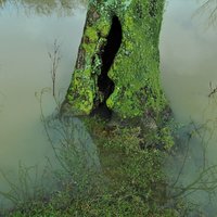 On the Sunny Side of the Street - Emmanuel Tugny & Kika & Mickael Plihon & Jacques El