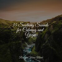 Calming Vibes - Música para Massagem Especialistas & Deep Sleep & Zarobi