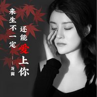 来生不一定还能爱上你 - 龙翼