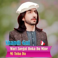 Zawande Da Wi Malgari - Shandi Gul Mizarwal