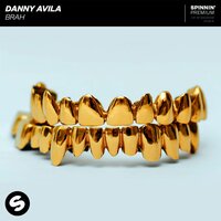 BRAH - Danny Avila