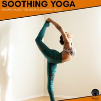 Healed Mind Spa - Liquid Ambiance