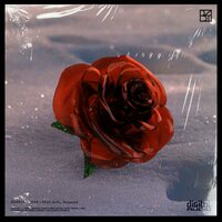 ROSE (Inst.) - HUNN1T & OoOo & Holmsted