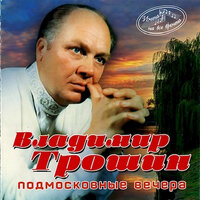 Не уехать - Владимир Трошин