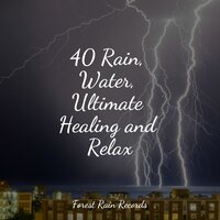 Crackling Embers - Música para Relaxar Maestro & Natural Sound Makers & Heavy Rain Sounds