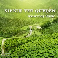 Finding Balance - Traditional & Traditional Indian Music