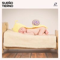Abrazos de Nube - Canciones de Cuna & Canciones de Cuna Relax & Canciones de Cuna para Bebés Acadèmico & Bebé Música Relajante