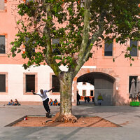 Faraways - Maple Syrup