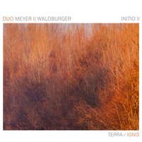 Nostalgia - Duo Meyer II Waldburger