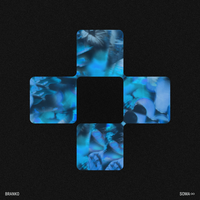 Agenda - Branko & Bryte