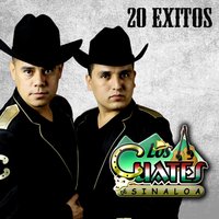Por Tonto - Los Cuates de Sinaloa