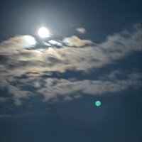 соскучился - tree14s & v1ncent price