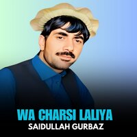 Tor Pekai. - Saidullah Gurbaz