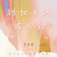 错把黄铜看成金 - 李泽毅