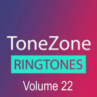 Inception - Sunfly House Band