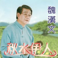 不要讓我難過 - 魏漢文